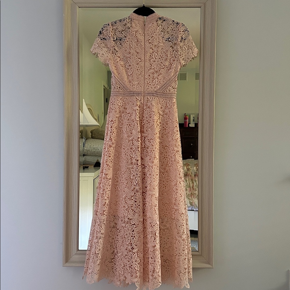Monique Lhuillier Blush Lace Midi Dress - Picture 3 of 5